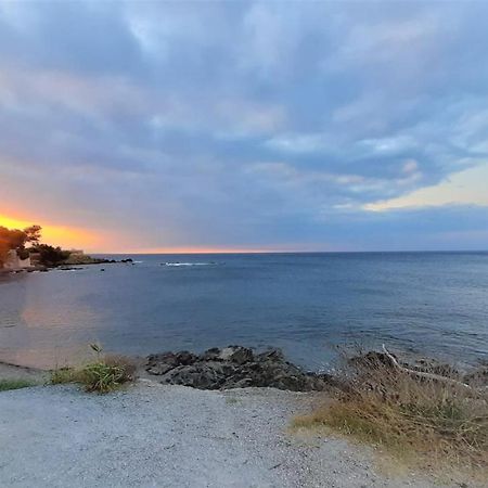 Charmant Appartement Vue Mer A 100M De La Plage. Saint Aygulf Eksteriør bilde